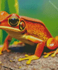 Big Orange Frog Diamond Painting