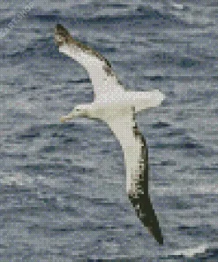 Bird Flying Over Ocean Diamond Painting