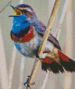 Bird Singing Diamond Painting
