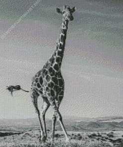 Black And White Giraffe Diamond Painting