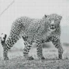 Black And White Leopard Diamond Painting