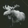 Black And White Moose Diamond Painting