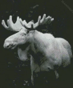 Black And White Moose Diamond Painting