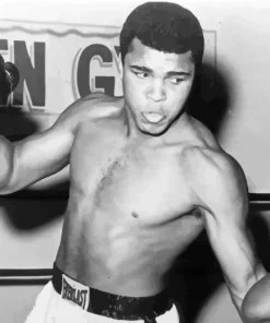 Black And White Muhammad Ali Diamond Painting