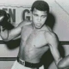 Black And White Muhammad Ali Diamond Painting