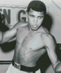 Black And White Muhammad Ali Diamond Painting