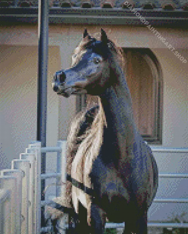 black arabian horse Diamond Paintings