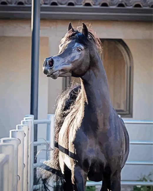 black arabian horse Diamond With Numbers Black Arabian Horse Diamond Painting