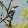Black Billed Mountain Toucan Diamond Painting