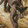 Black Jaguar Diamond Painting