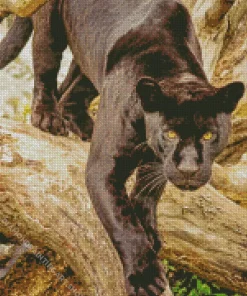 Black Jaguar Diamond Painting