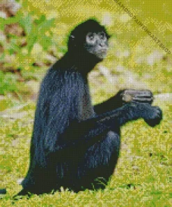 Black Monkey Animal Diamond Painting