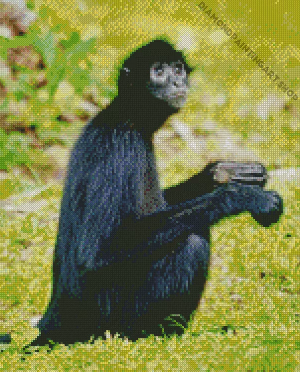 black monkey Diamond With Numbers Black Monkey Animal Diamond Painting