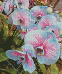 Blue And Pink Orchid Diamond Painting