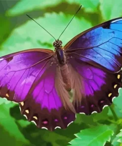 Blue And Purple Butterfly Diamond Painting