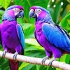 Blue And Purple Parrot Birds Diamond Painting