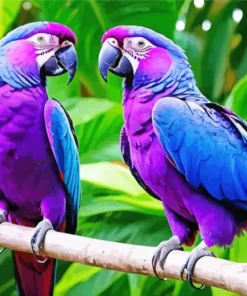 Blue And Purple Parrot Birds Diamond Painting