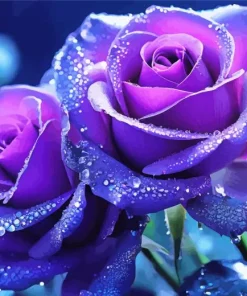 Blue And Purple Roses Diamond Painting