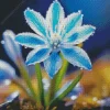 Blue And White Flower Diamond Painting