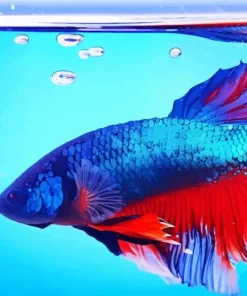 Blue Betta Fish Underwater Diamond Painting