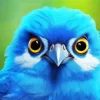 Blue Bird Face Diamond Painting