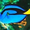 Blue Black And Yellow Fish Diamond Painting