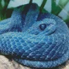 Blue Bush Viper Diamond Painting