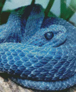 Blue Bush Viper Diamond Painting