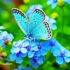 Blue Butterfly And Flower Diamond Painting
