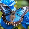 Blue Butterfly And Flowers Diamond Painting