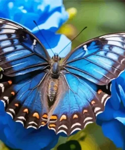 Blue Butterfly And Flowers Diamond Painting