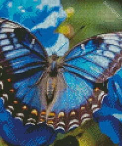 Blue Butterfly And Flowers Diamond Painting