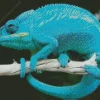 Blue Chameleon Diamond Painting