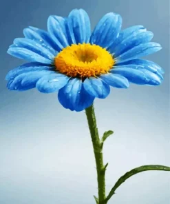 Blue Chamomile Diamond Painting