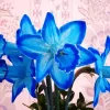 Blue Daffodil Diamond Painting