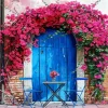 Blue Door Flowers Diamond Painting