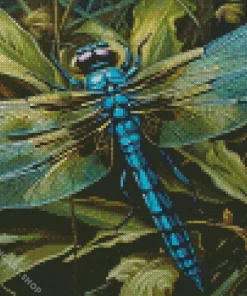 Blue Dragonfly Diamond Painting