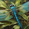 Blue Dragonfly Diamond Painting