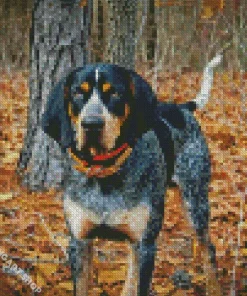 Blue English Coonhound Diamond Painting