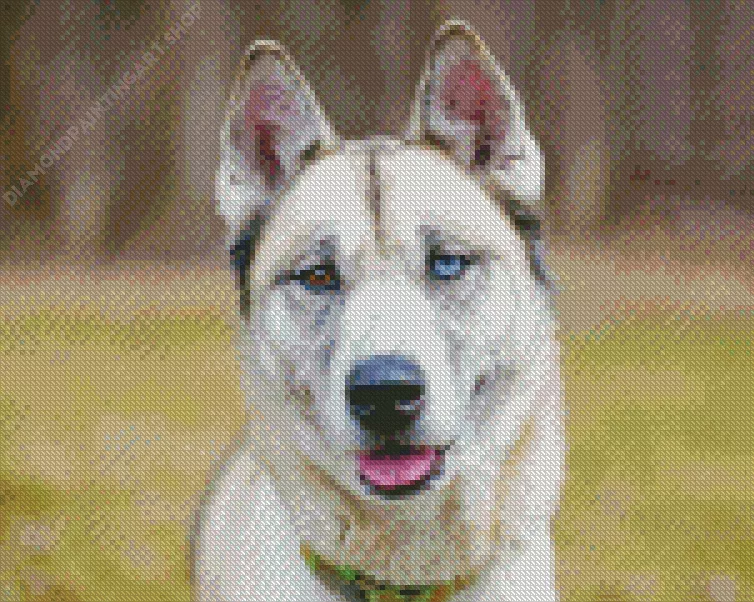 blue eye husky Diamond With Numbers Blue Eye Husky Diamond Painting