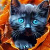 Blue Eyed Black Cat Diamond Painting