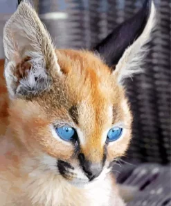 Blue Eyed Caracal Diamond Painting