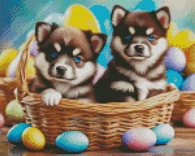 blue eyed pomsky puppies Diamond With Numbers Blue Eyed Pomsky Puppies Diamond Painting