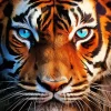 Blue Eyed Tiger Diamond Painting