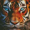 Blue Eyed Tiger Diamond Painting