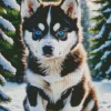 Blue Eyes Husky Diamond Painting