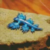Blue Glaucus Nudibranch Diamond Painting