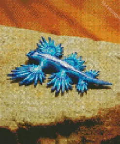 Blue Glaucus Nudibranch Diamond Painting