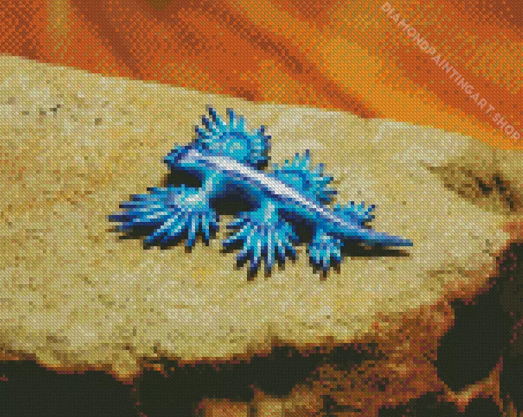 blue glaucus nudibranch Diamond By Numbers Blue Glaucus Nudibranch Diamond Painting