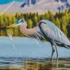 Blue Heron Eating Diamond Painting